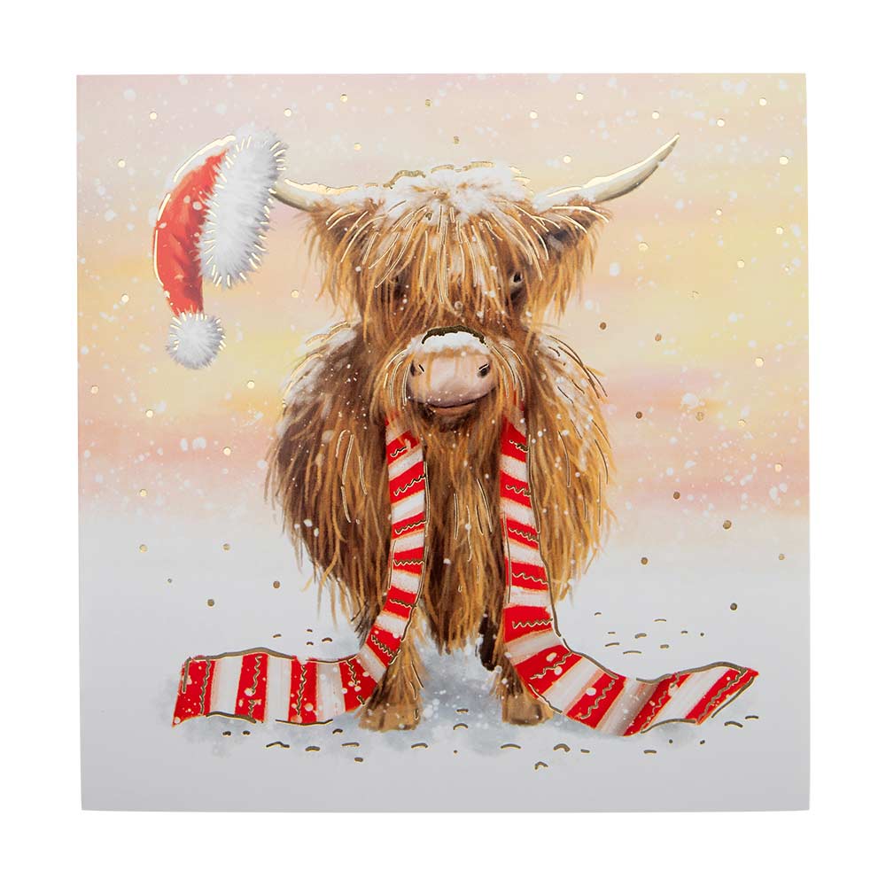 Animal Christmas Cards 10 Pack - Image 4
