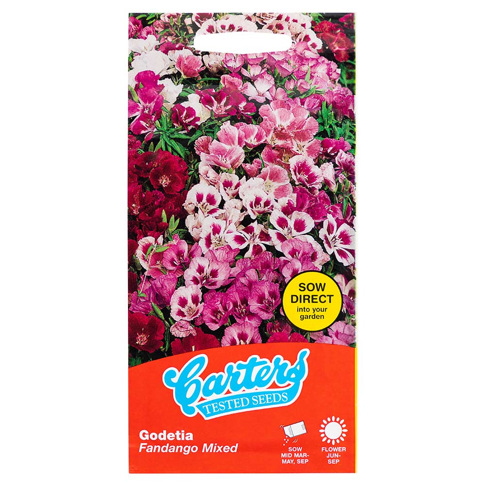Flower Seeds Mix