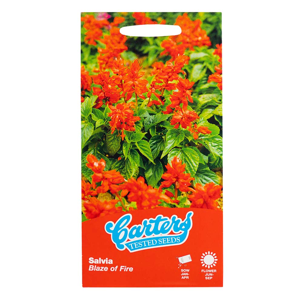 Flower Seeds Mix - Image 4