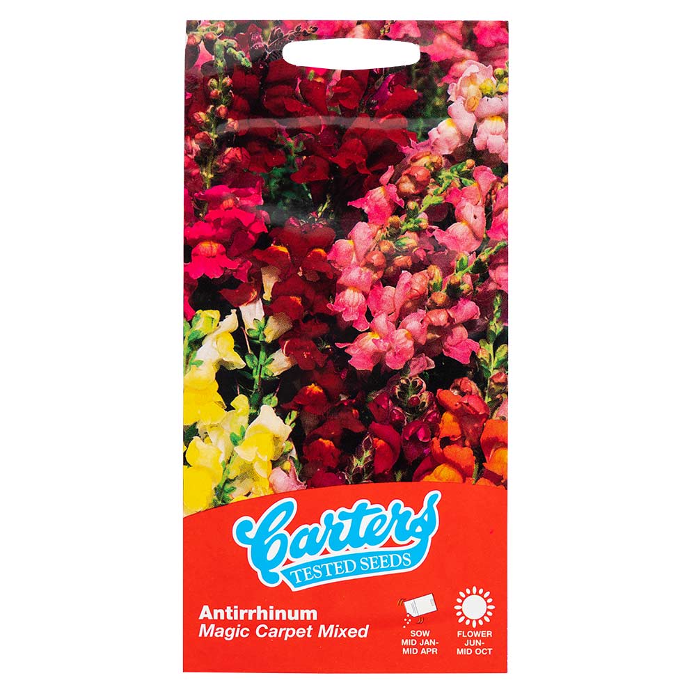 Flower Seeds Mix - Image 5