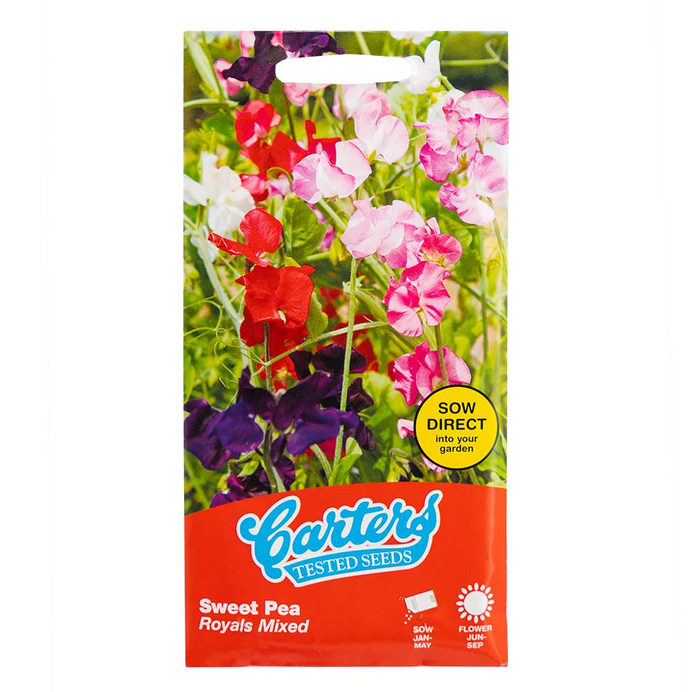 Flower Seeds Mix - Image 6