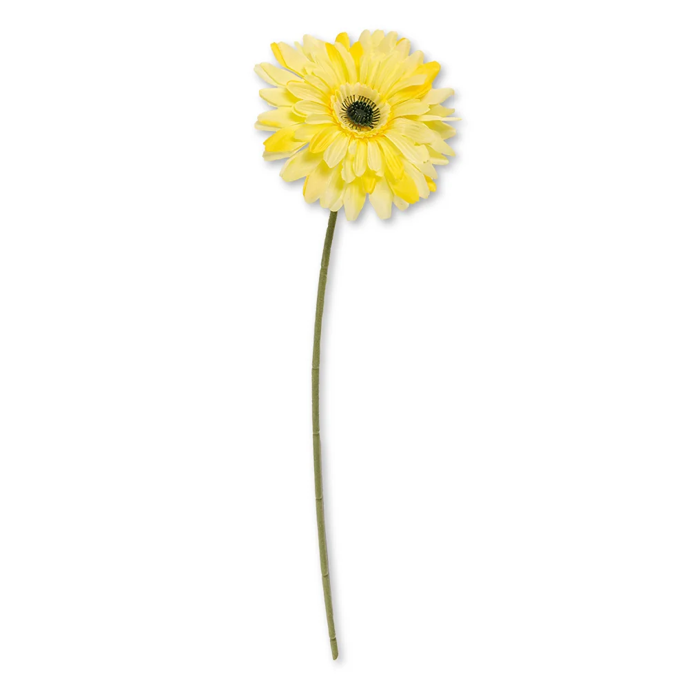 Single Stem Gerbera Yellow