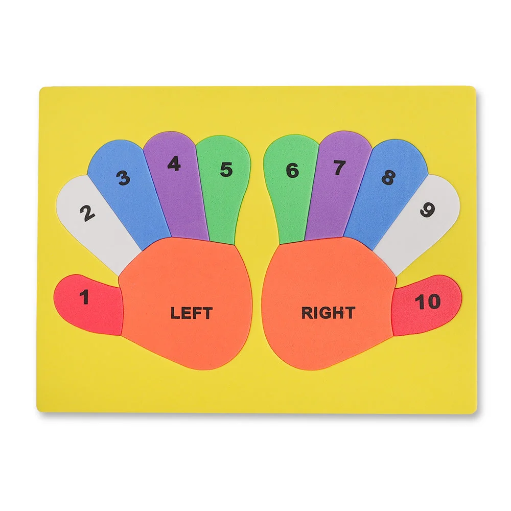 Hands Foam Board