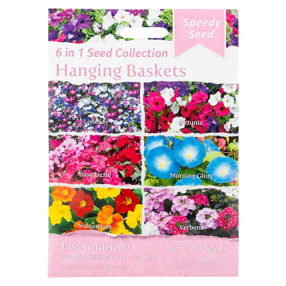 Mixed Flower Seeds - Image 4