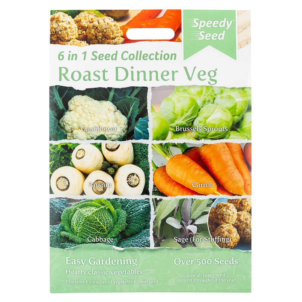 Mixed Vegetable Seeds - Image 2