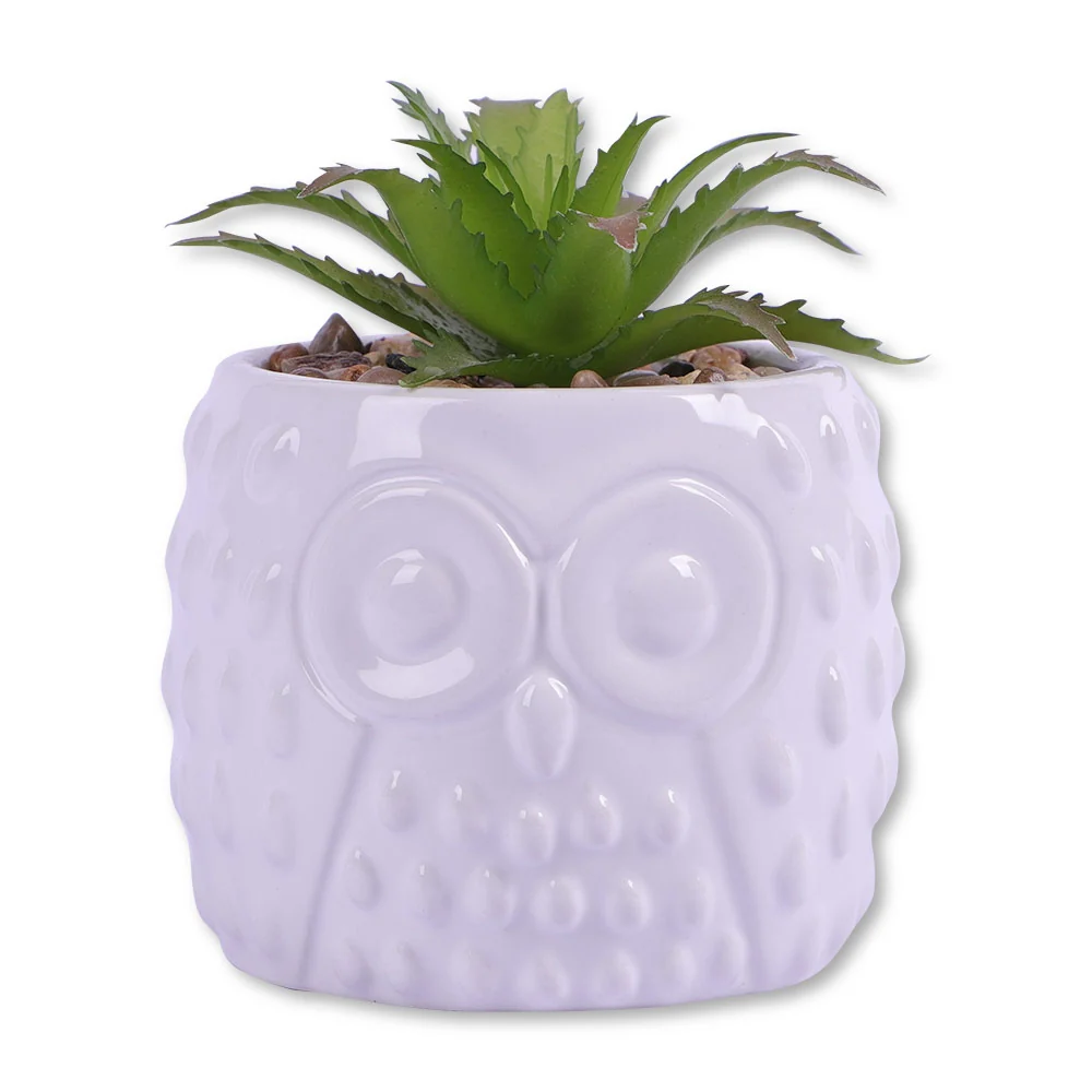 Owl Pot With Succulent