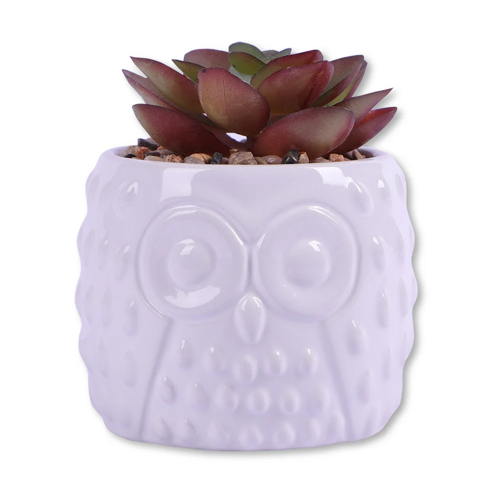 Owl Pot With Succulent Red Leaf