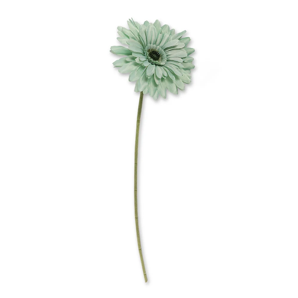 Single Stem Gerbera Green