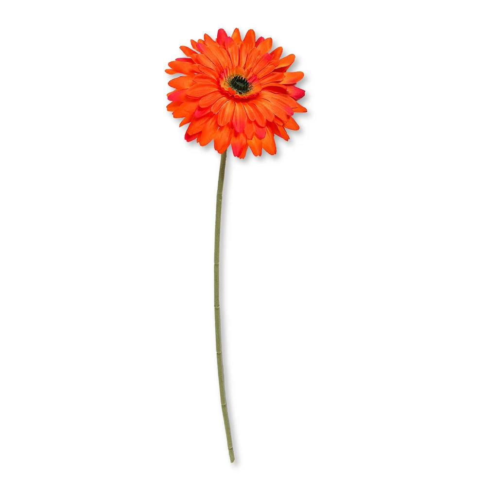 Single Stem Gerbera Orange