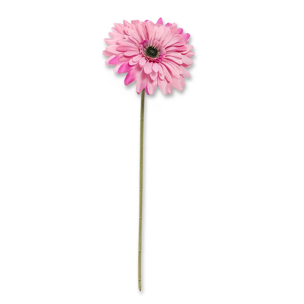 Single Stem Gerbera Purple