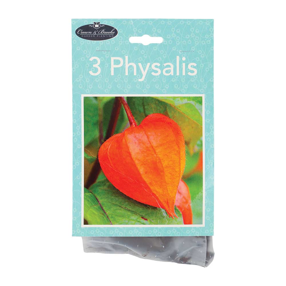 Summer Perennials - Image 4