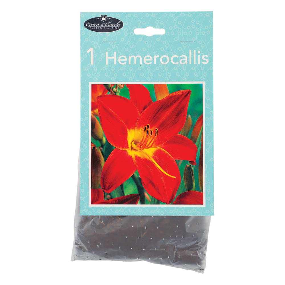 Summer Perennials - Image 6