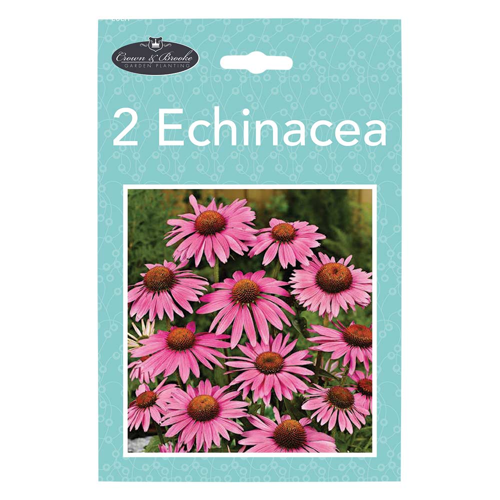 Summer Perennials - Image 9