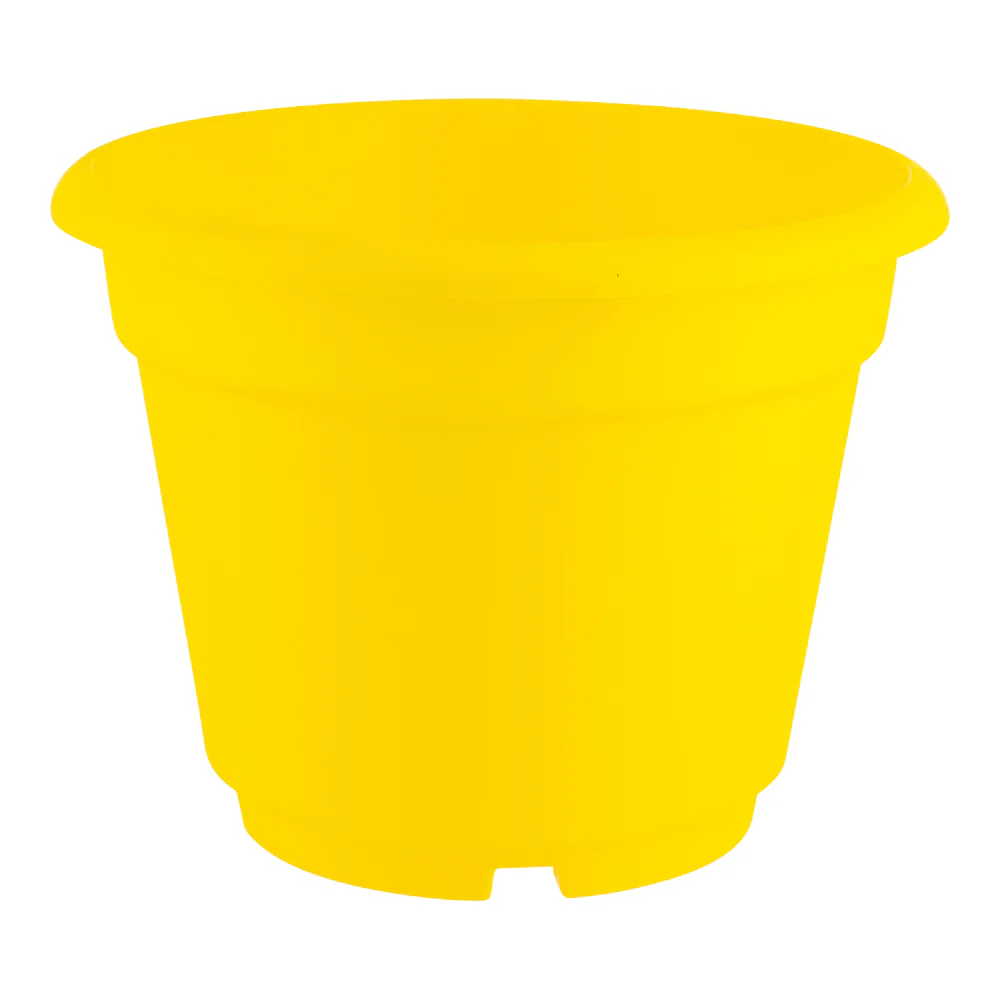 Summer Plant Pot